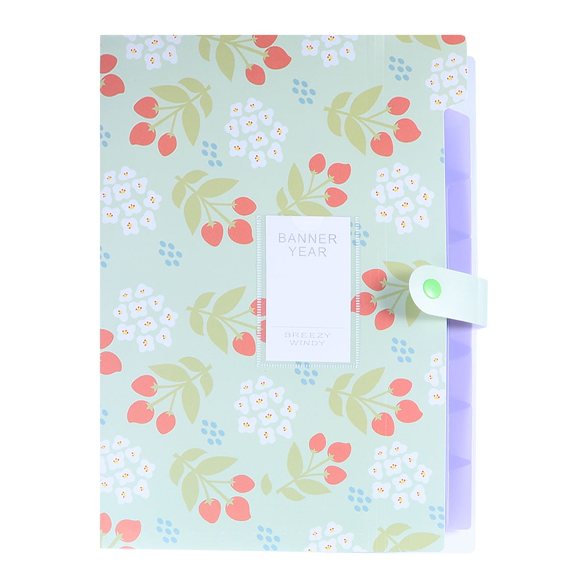 8Pocket Plastic Expanding File Folders A4 Letter Size Snap Closure