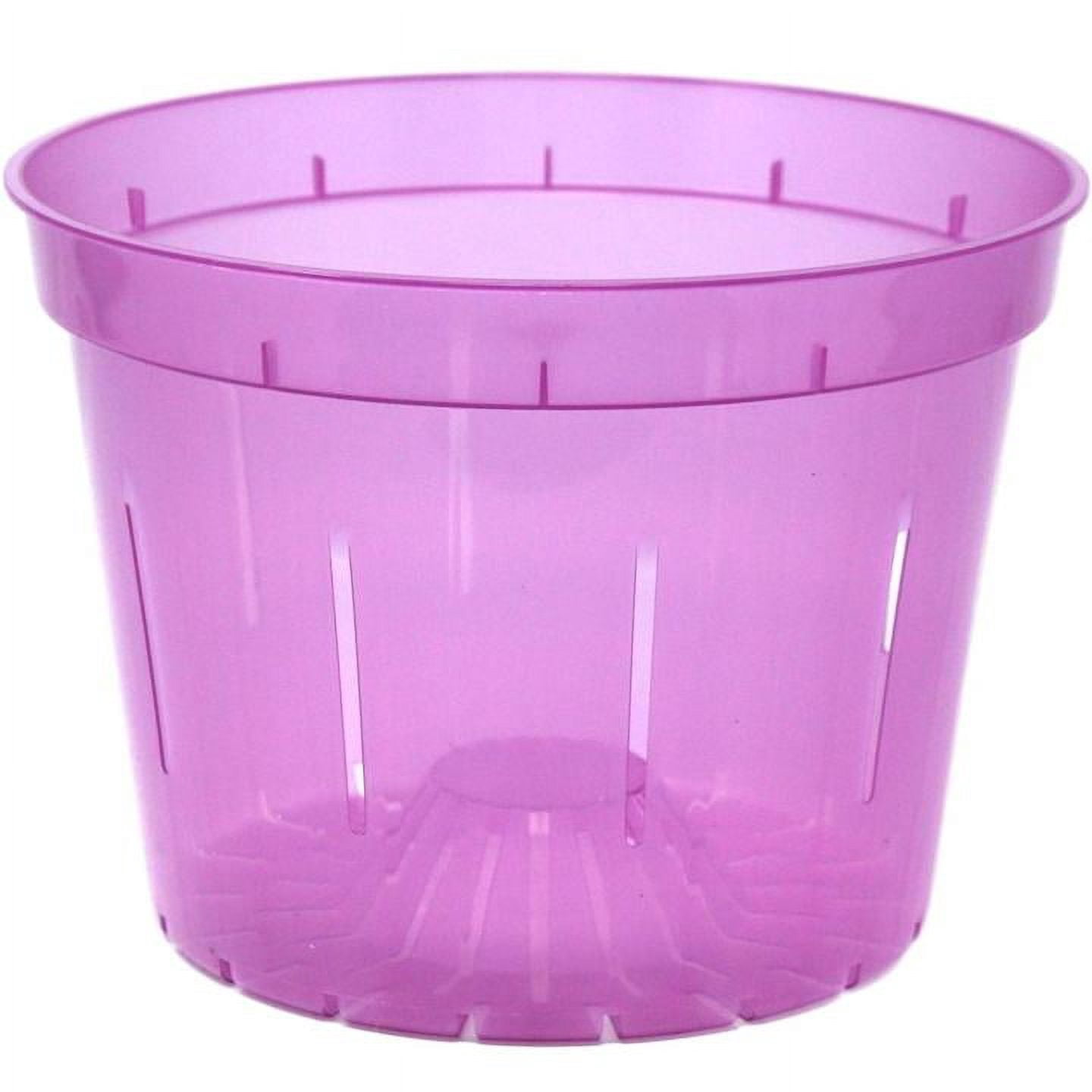 8" Rose Quartz Slotted Orchid Pot (3 Pack) by rePotme