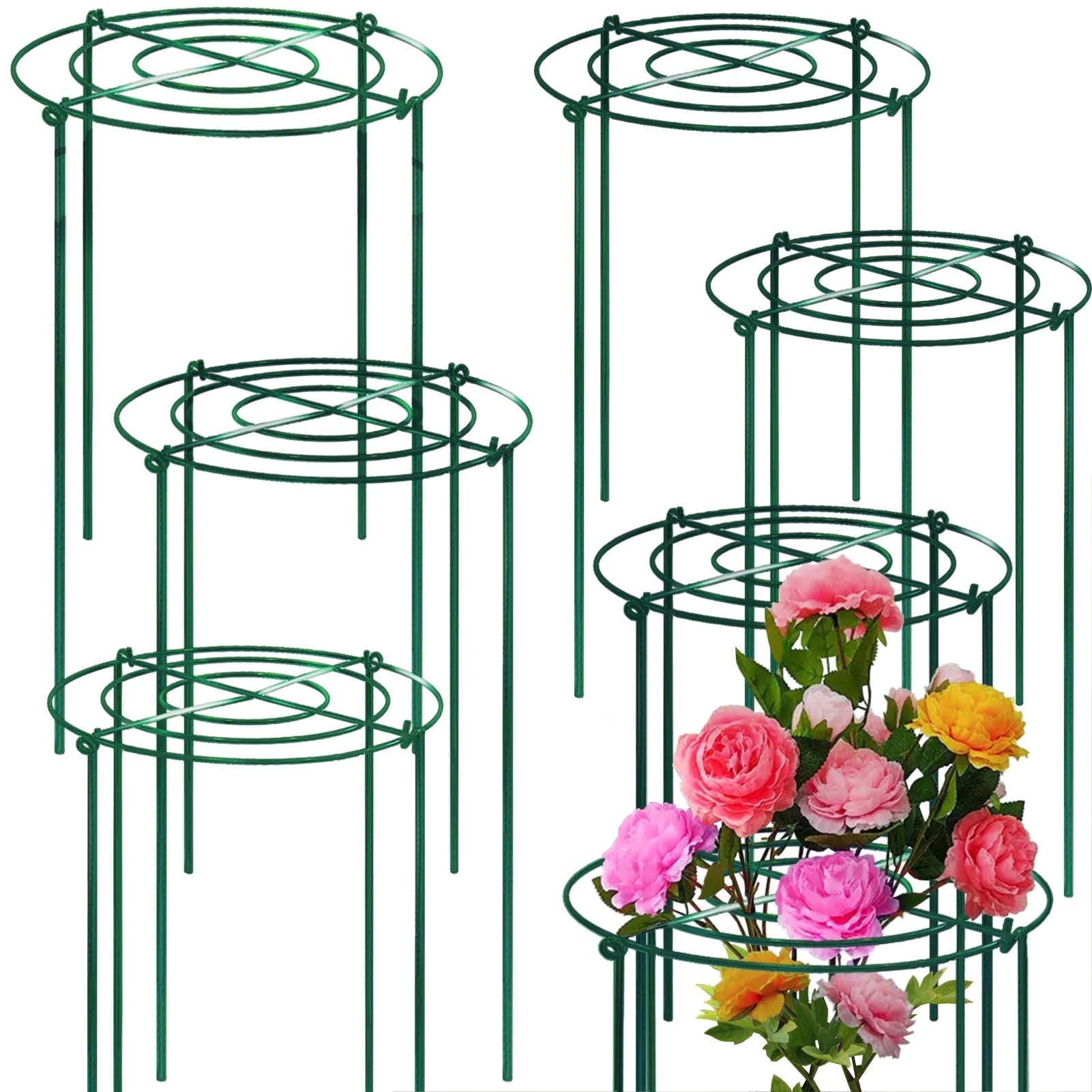 8 Sets Peony Support Cage,10