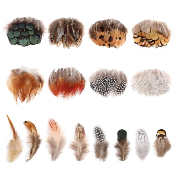160PCS Assorted Natural Craft Feathers, 8 Styles Mixed Chicken Feathers for DIY Earrings, Dream Catchers, Costumes, Wings, Masks, Wedding, Party & Home Decorations