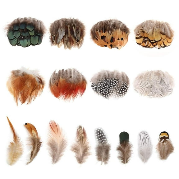 8 Styles Assorted Craft Feathers (160Pcs), Natural Chicken Feathers for DIY Earring Wings Dream Catcher Crafts Activities Project Wedding Party Home Decoration Carnival Costume Party Mask Decoration