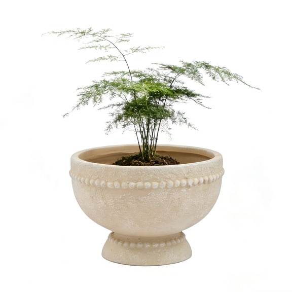 8" White Resin Dot Bowl Planter Pot, 8.1" Diameter Round Flower Pot with Drainage Hole, Lightweight Indoor/Outdoor Container for Succulents, Small Plants, Home Office Decor