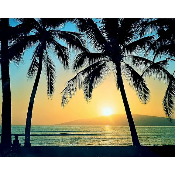 8" X 10" Color Prints with Gloss Lamination