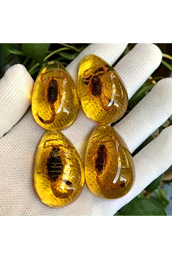 8 amber fossil samples, stone crystal specimens, home decoration collection, oval pendants, Christmas gifts, birthday gifts