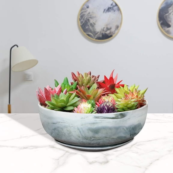 8 and 10 Inch Large Succulent Planter Pot Round Marble Pattern Modern Planter Flower Pot Indoor