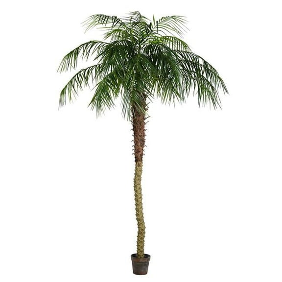 8 ft. Potted Pheonix Palm Tree 1095-Leaves