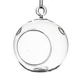 thumbnail image 1 of 8 in. Clear Round Hanging Terrarium Globe, 1 of 1
