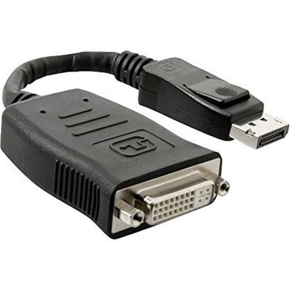 8 in. Displayport to DVI Single Link Adapter DVI 24 Plus 5 - Black