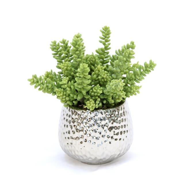Metal Succulent