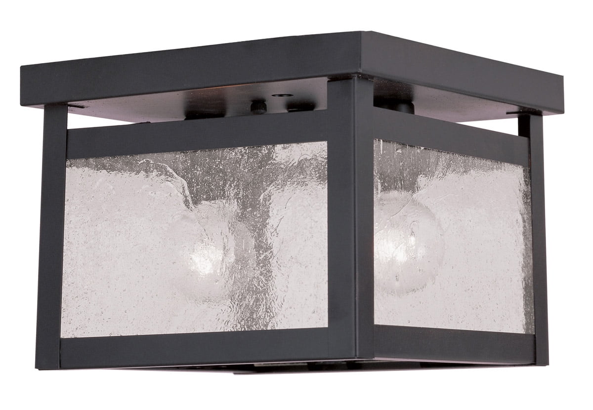 8 inch 2 Light Bronze Ceiling Light fixture with Clear Seeded Glass Shade