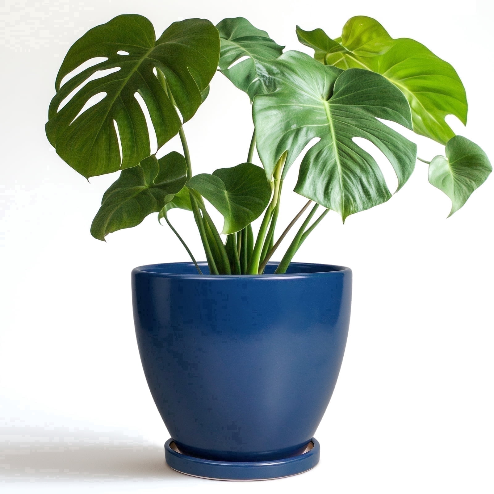 8 inch Blue Ceramic Planter Pot with Saucer | Modern Indoor Outdoor Flower Pot for All Houseplants, Herbs & Patio Decor