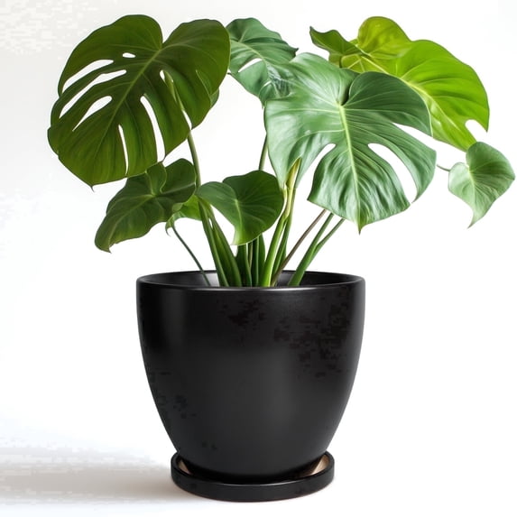 Ordivic 8 inch Matte Black Ceramic Flower Pot with Watering Function & Saucer | Modern Indoor Outdoor Planter for Houseplants & Home Decor
