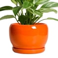 thumbnail image 1 of Ordivic 8 inch Glossy Orange Ceramic Planter with Drainage Hole & Saucer,Medium Plant Pot for Snake Plant & Pothos, Modern Shelf Decor Gift, 1 of 5