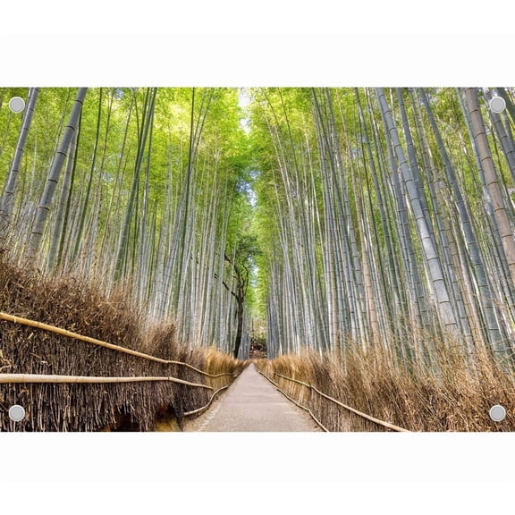 8x6ft Bamboo Forest Backdrop, Bamboo Path Fence, Backdrop for Party Decoration, Outdoor Theme Bedroom Wedding Day Photoshoot Background, Kids Game Video Studio Props