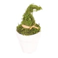 thumbnail image 1 of 8 inch Halloween Witch Hat Planter Decor, Mini Cauldron Pot Tabletop Ornament, Spooky Festival Desktop Decoration for Home Office Display, 1 of 6
