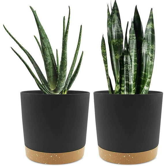 8 inch Plant Pot, 2 Pack Planters for Indoor Plants with Drainage Holes & Saucer, Outdoor Flower Pots Home Garden Modern Decor