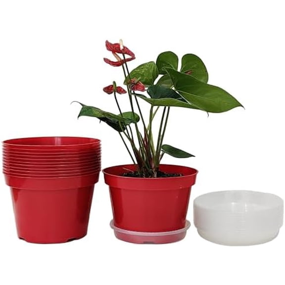 8 inch Plastic Flower Pots, Red Plant Pots 12Pack with Saucers for Indoor House Plants Growing and Decoration