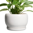 thumbnail image 1 of Ordivic 8 inch Glossy White Ceramic Planter with Drainage Hole & Tray, Indoor Outdoor Round Flower Pot for ZZ Plants,Home Patio Decor, 1 of 6