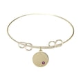 thumbnail image 1 of 8 inch Round Double Loop Bangle Bracelet w/ Plain Disc medal charm w/ February Purple Swarovski Crystal, 1 of 3