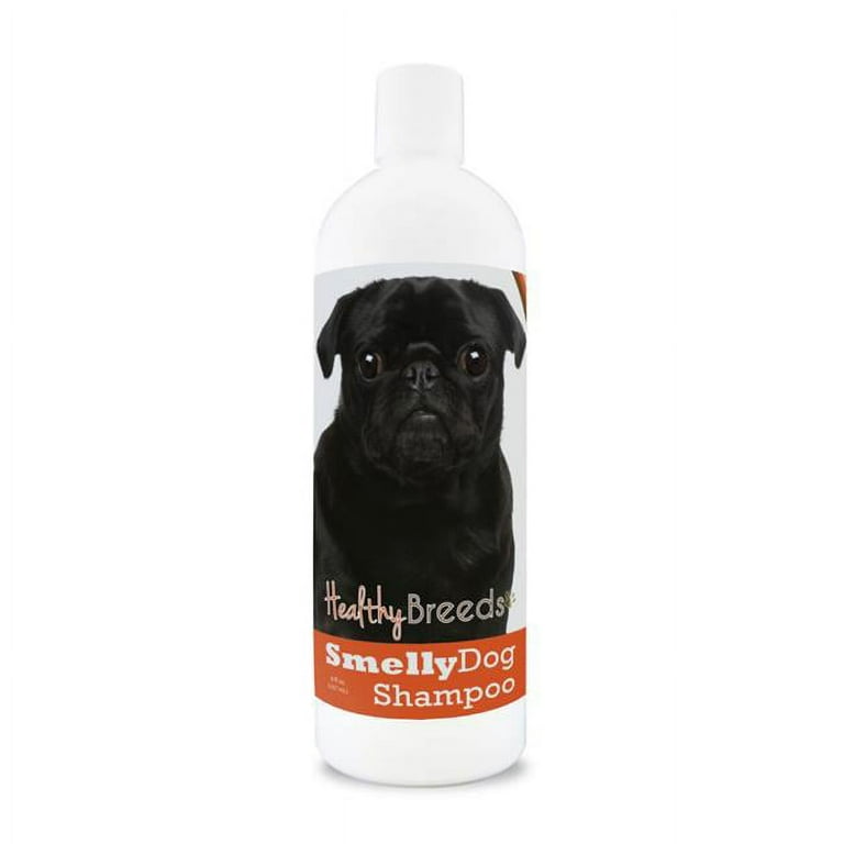 Smelly pug 2025