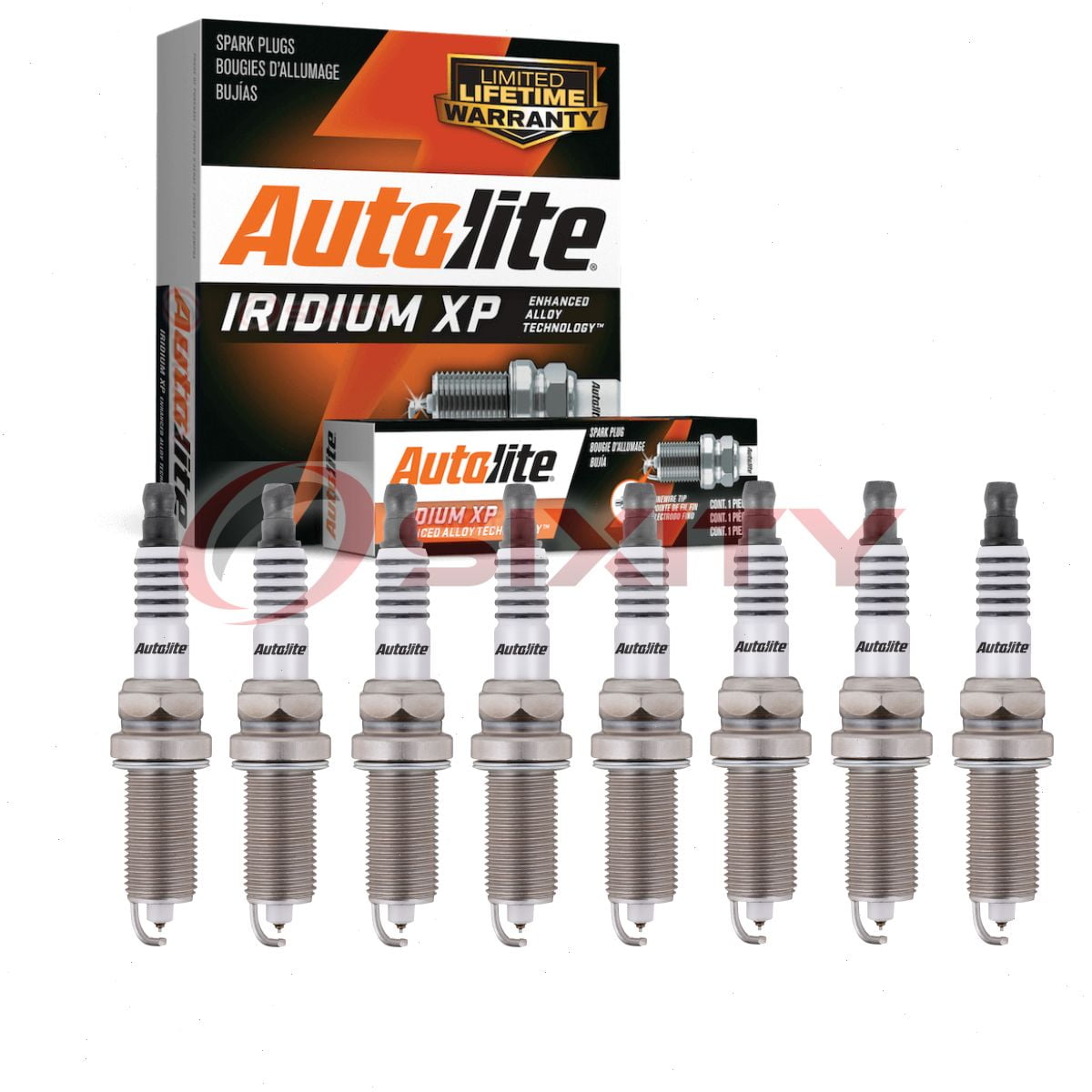 8 pc Autolite Iridium XP XP6003 Spark Plugs for Ignition Wire Secondary