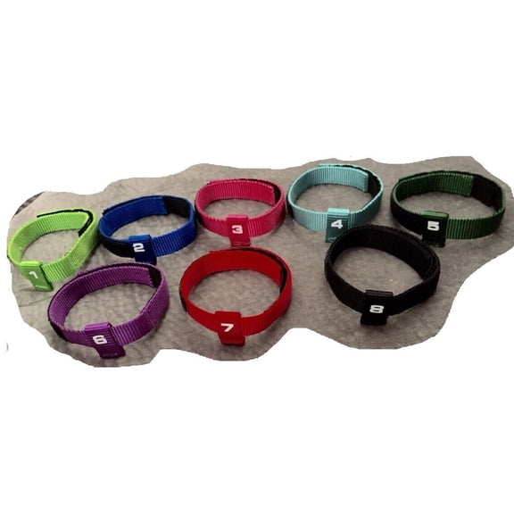 8 pc Puppy ID Collar Kits for Dogs Litter Whelping Breeder Vet Shelter Rescue (Large - 1 Set - 8 Collars)