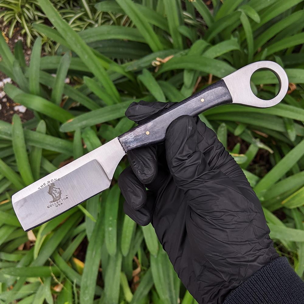 8" Black Bone Handle Razor Knife with Leather Sheath & Sharpening Strop