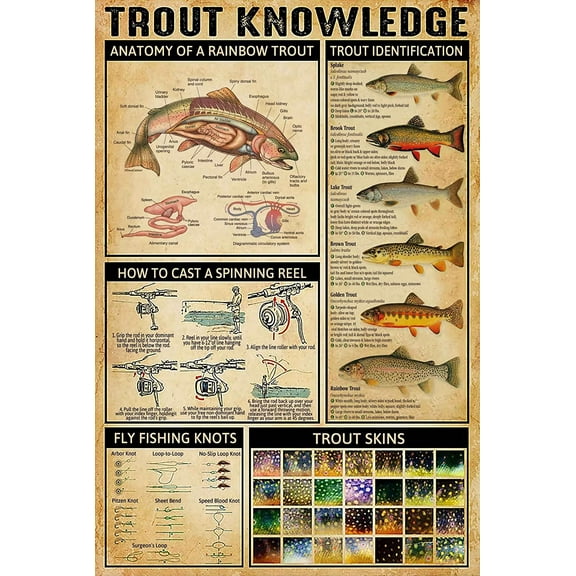 8 x 12 in Metal Tin Sign - Trout Knowledge Metal Poster Anatomy Of A Rainbow Trout Retro Tin Sign School Science Education Dining Room Living Room Bathroom Home Art Wall Decoration Plaque Gift