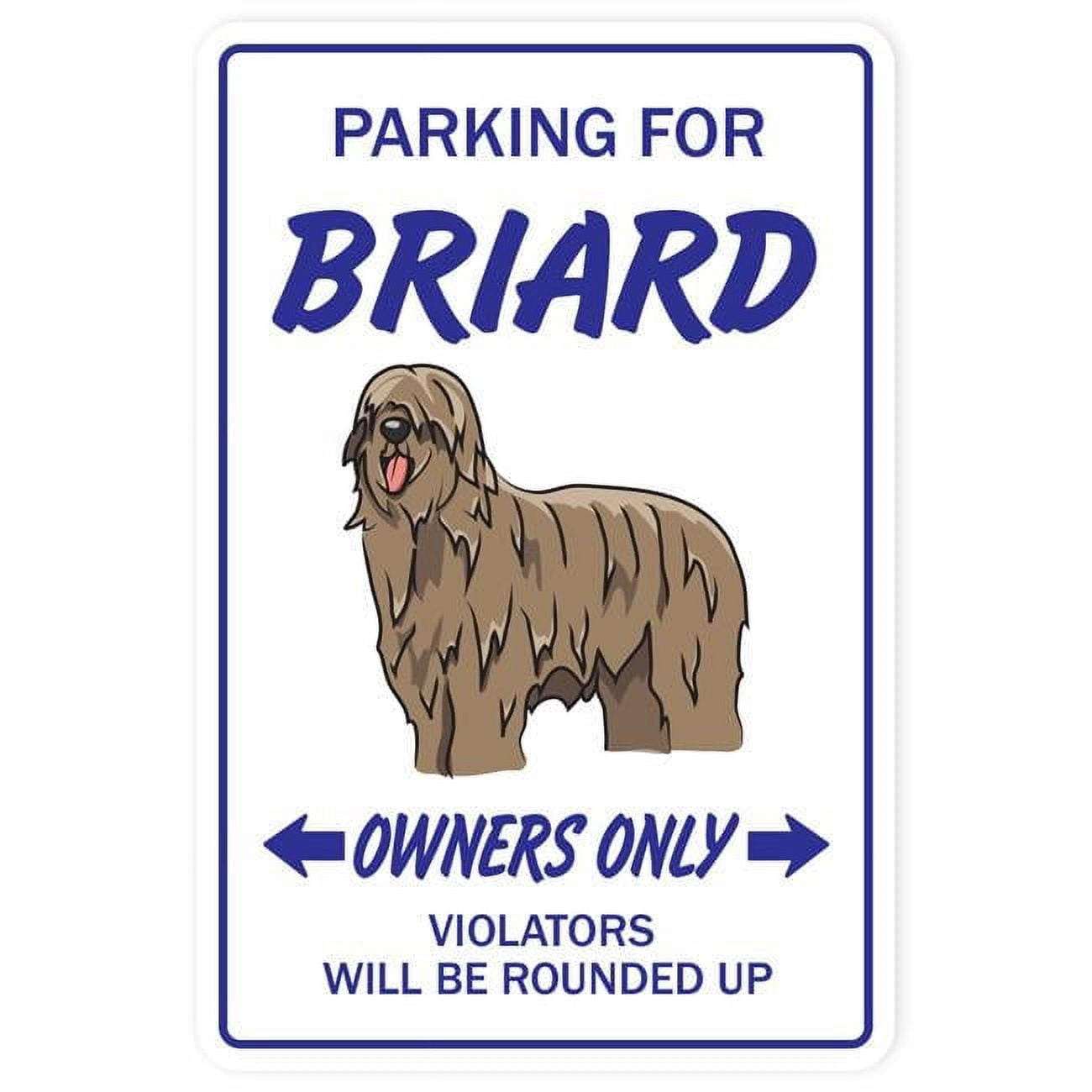 8 x 12 in. Briard Sign Dog Pet Parking Signs - Herd Groomer Breeder ...