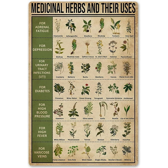 8 x 12 in Metal Tin Sign - Medicinal Herbs and Their Uses Posters Metal Signs Wall Decor Room Decor 12x17 Inches