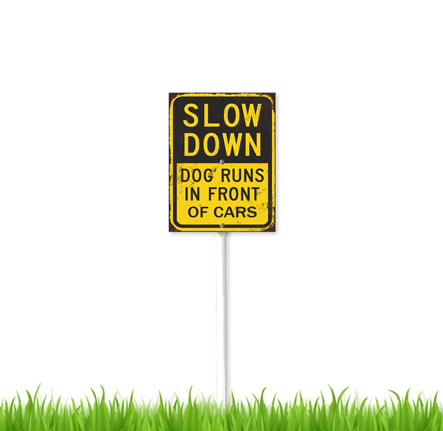8 x 12 inch Slow Down - Dog Runs In Front Of Cars Sign with Stake ...