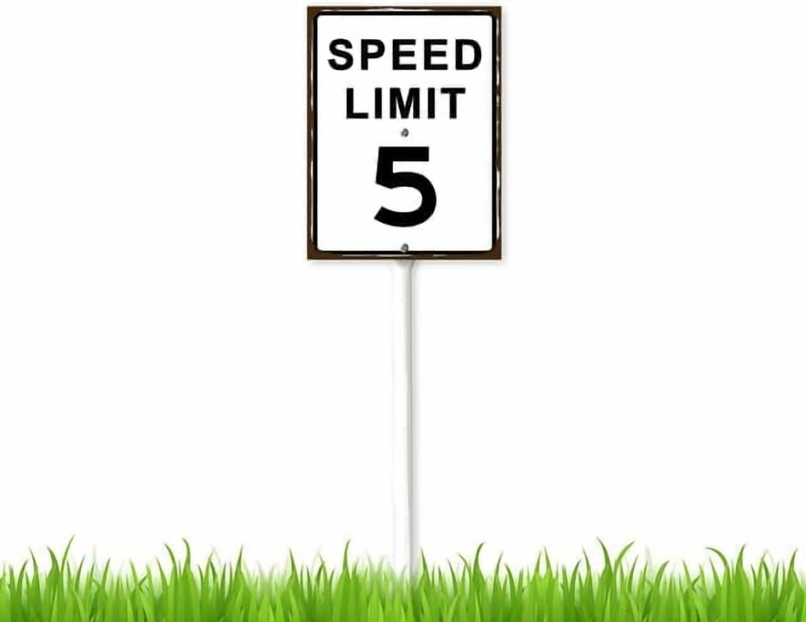 8 x 12 inch Speed Limit 5 MPH Yard Sign Decorative Plant Stake Lawn Art ...