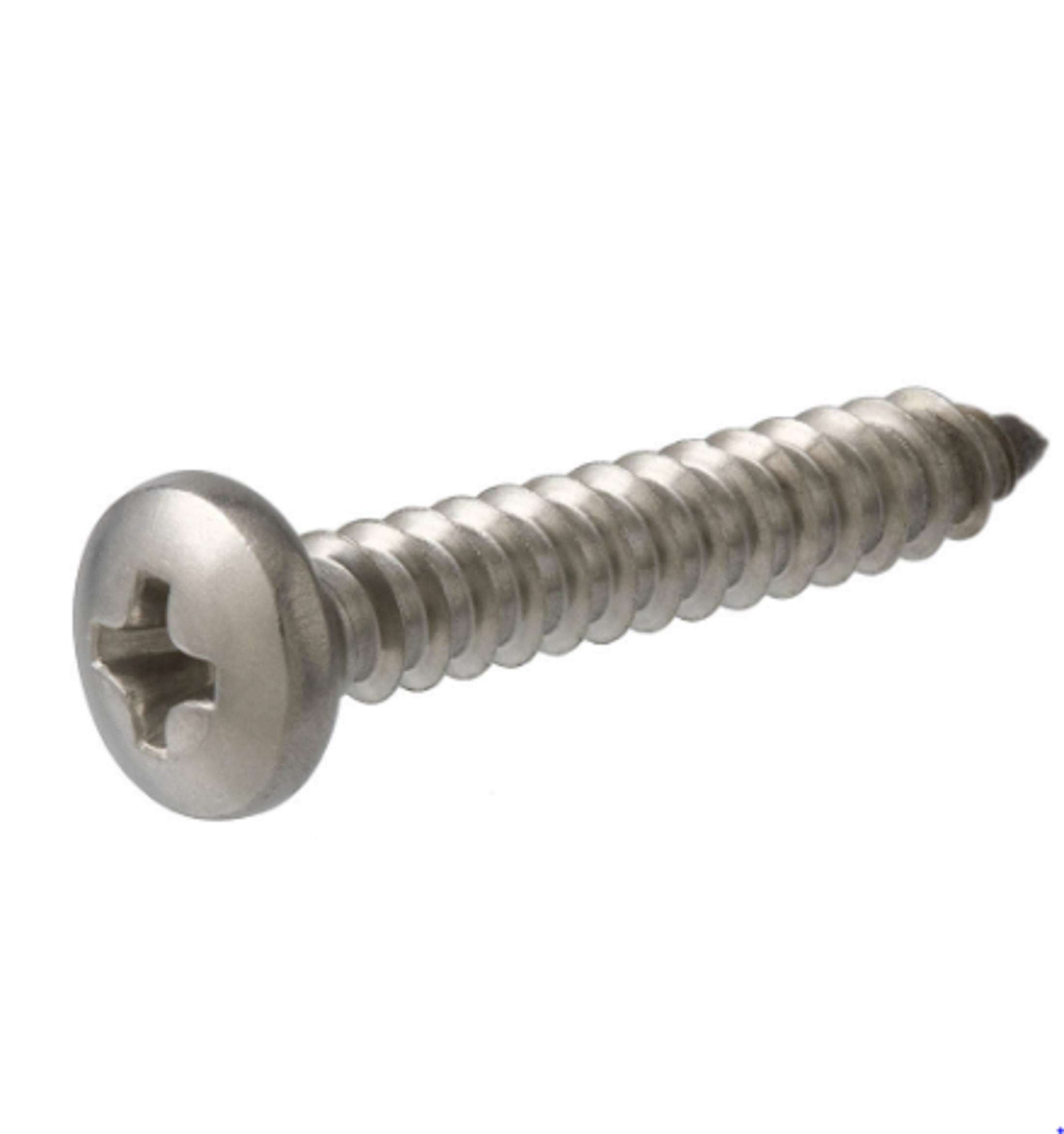 DuraCoat Fasteners Stainless Steel Pan-Head Sheet Metal Screws (Qty. 100)