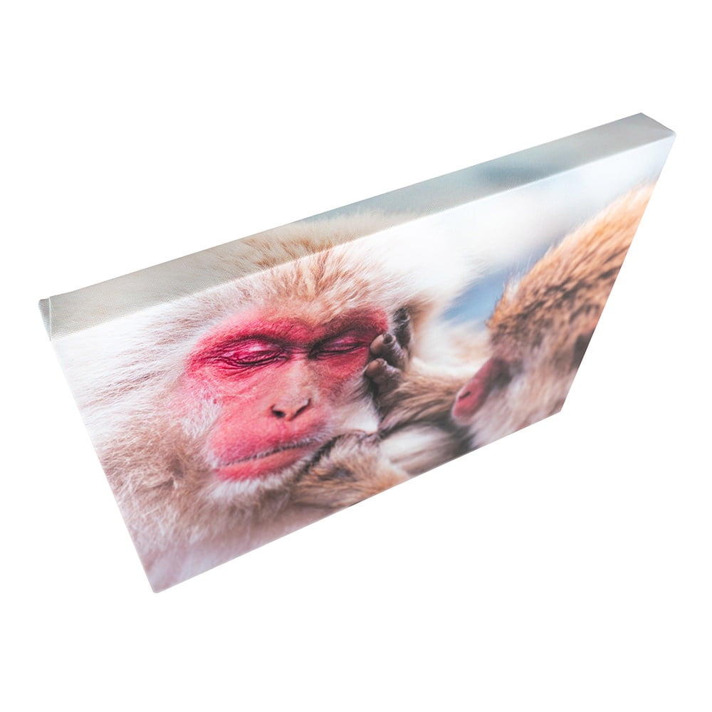 8"x 8" Traditional Stretched Canvas Print, Environmentally Friendly, Ready to Hang, Customizable Wall Art
