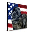 thumbnail image 1 of 8 x 8 x 0.625 in. Newfoundland Patriotic Artwork Panel Wall Decor, 1 of 1