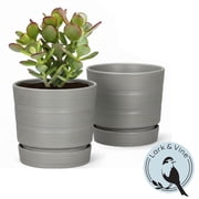 Lark & Vine Leith Resin Planter with Saucer, Durable and Light Weight, 8" x 8" x 7.5", Grey, Set of 2