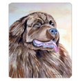 thumbnail image 1 of 8 x 9.5 in. Chocolate Brown Newfie Newfoundland Mouse Pad, Hot Pad Or Trivet, 1 of 1