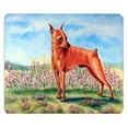 thumbnail image 1 of 8 x 9.5 in. Min Pin Mouse Pad, Hot Pad or Trivet, 1 of 1