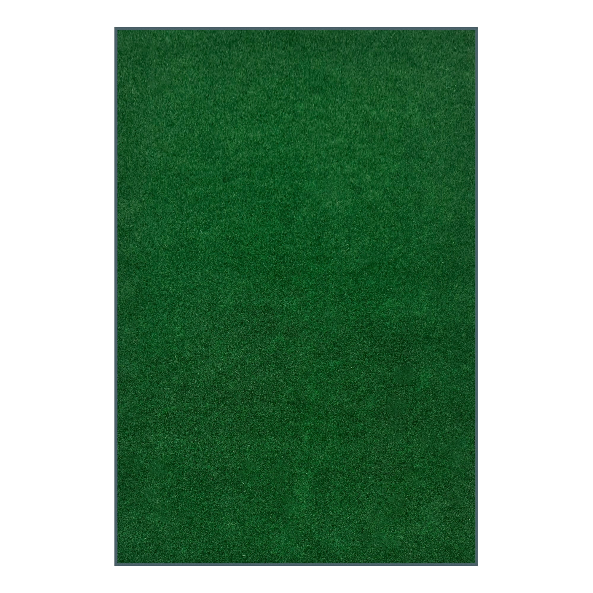 Grass Color Rug Koeckritz Rugs Grizzly Grass Fern Green Indoor/Outdoor Turf Area Rug, 8 ...