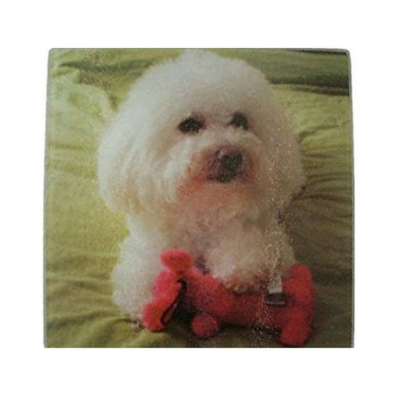 8"x8" Bichon Frise Kitchen Counter Art Tempered Glass Cutting Board Surface Saver Bar Prep Great Holiday Gift