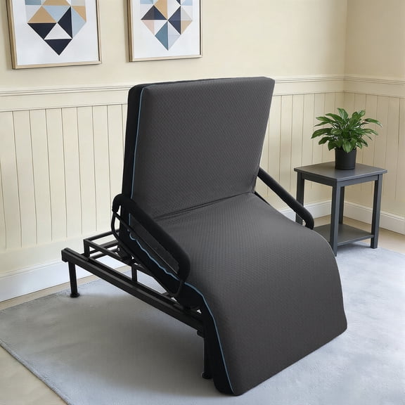 80 in Electric Lift Bed for Seniors - Wired Remote Control with One-Touch Backrest Lift & Leg Lowering, Fall-Safe Rails, Safe Standing/Sitting/Lying Aid