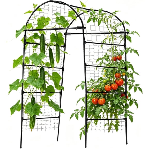 80 Inch Tall Garden Arch Trellis for Climbing Plants Outdoor, Grape Trelli Metal Vine Plants Support Flower Vegetable Tomato (Black, 33" L x 33" W x 80" H - Arch Trellis)
