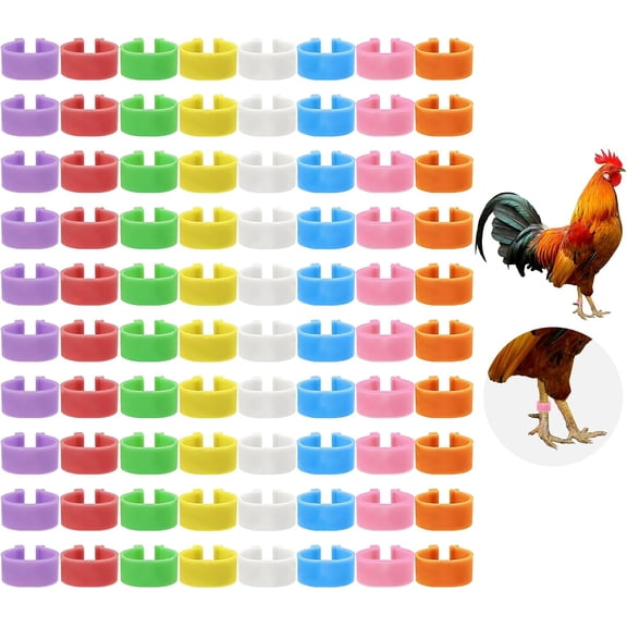 80 PCS Chicken Leg Bands,Chicken Tags for Legs with 8 Color,0.6in Colorful Snap-On Poultry Identification Rings for Chickens,Ducks,Quails,Pigeons