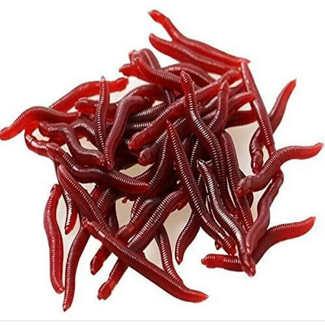 80 Pcs Soft Lure Red Worms Earthworm Fishing Baits Worms Trout Artifical Fishing Lure Artifical ...