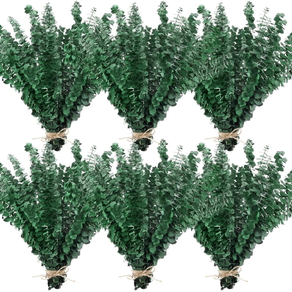 80 count Large Dried Eucalyptus Stems 17inch  Real  Eucalyptus Branches for Shower    Greenery Leaves for Wedding Bathroom Vase Filler DIY Garland Decor