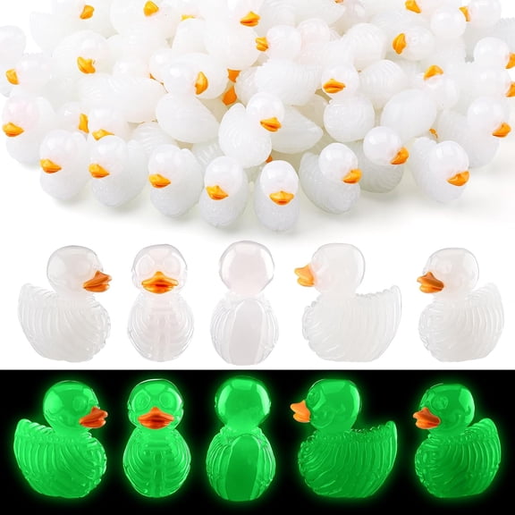 80 count Luminous Halloween Mini Skeleton Duck  Spooky  Skeleton Duck Figurines  in The Dark Decor for   Prank  Dollhouse Aquarium Potted Miniature Landscape DIY