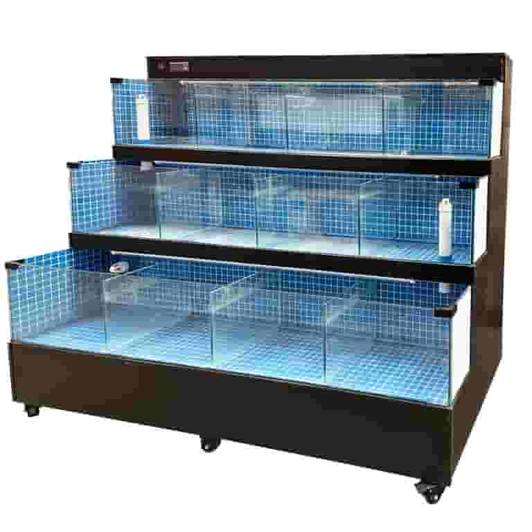 https://i5.walmartimages.com/seo/80-in-Supermarket-Live-Sea-Food-Display-Water-Tank-Commercial-Fish-Tank-Market-Lobster-Tank-Restruarnt-Seafood-Tank_aea6c15c-5408-43d8-80b7-d7dbd7af66a3.31e915d3c471d140da769498f526a614.jpeg?format=avif&odnBg=FFFFFF&odnDynImageQuality=10&odnHeight=768&odnWidth=768