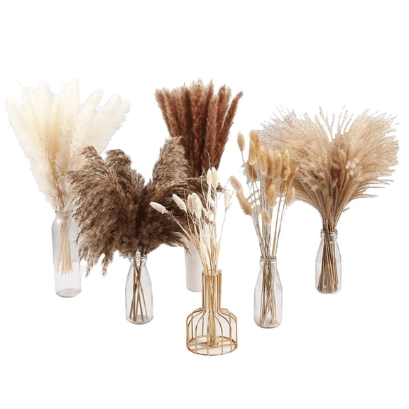 80 pcs Dried Pampas Grass Decor, Boho Home Decor Natural Bunny Tails Dried Flowers, Reed Grass Bouquet for Wedding Floral Table Arrangements Home Room Decorations