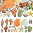 thumbnail image 1 of 80+ pcs Mixed Sea Shells Colorful Natural Beach Seashells Starfish Ocean Shell Fishtank Crafts Ornaments for DIY Beach Theme Party Home Wedding Candle Decorations(Various Styles Sizes), 1 of 7