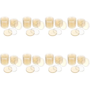 Pre-Poured Agar Plates - 10 Pack 7cm Petri Dishes For Microbiology & Science Experiments